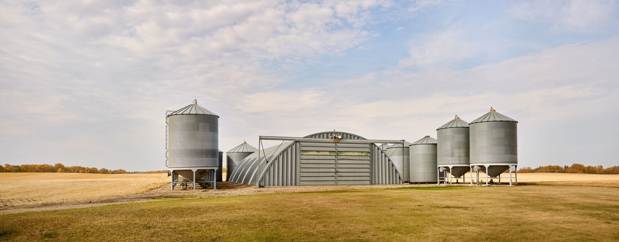 Grain storage bins on a farm during harvest